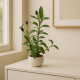 Artificial Plant